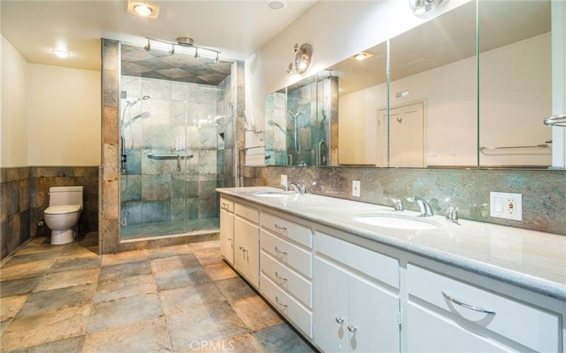 4315 Clybourn Ave - Main en-ste. step in shower