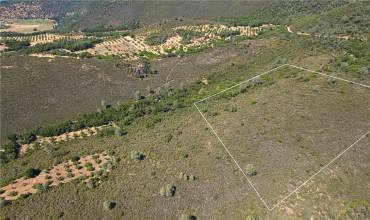 olive farm in the clearing at top here