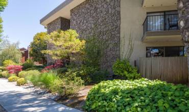 1477 Floribunda Avenue 305, Burlingame, California 94010, 1 Bedroom Bedrooms, ,1 BathroomBathrooms,Residential Lease,Rent,1477 Floribunda Avenue 305,ML81971539