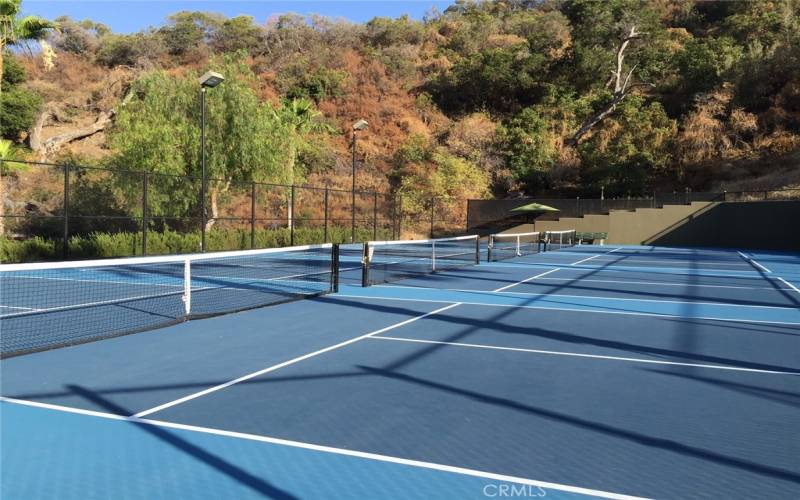 Some Trilogy Tennis Courts have been designated for Pickle Ballers too.