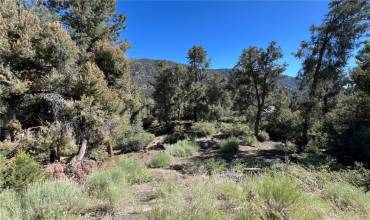 2426 Cedarwood Drive, Pine Mountain Club, California 93222, ,Land,Buy,2426 Cedarwood Drive,SR24133615