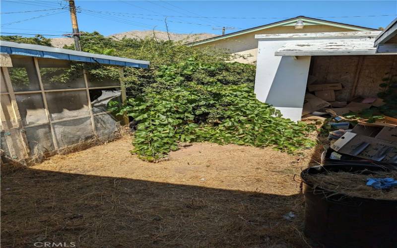 Yard between covered patio and carport.