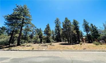 1316 Shadowhill Court, Big Bear City, California 92314, ,Land,Buy,1316 Shadowhill Court,PW24134039