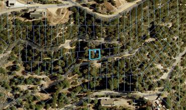 11 Eucalyptus Road, Cedar Glen, California 92321, ,Land,Buy,11 Eucalyptus Road,HD24134044