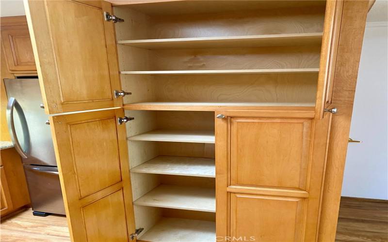 Pantry in kitchen