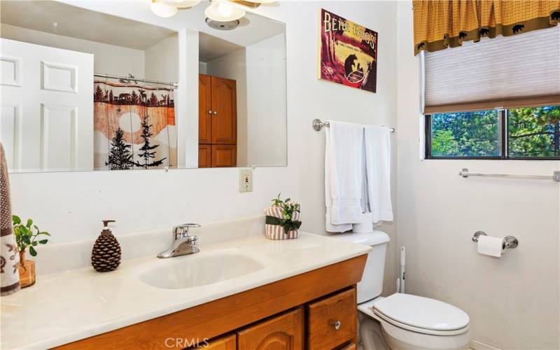 Upstairs master bathroom