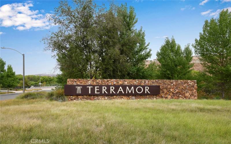 Terramor, the community