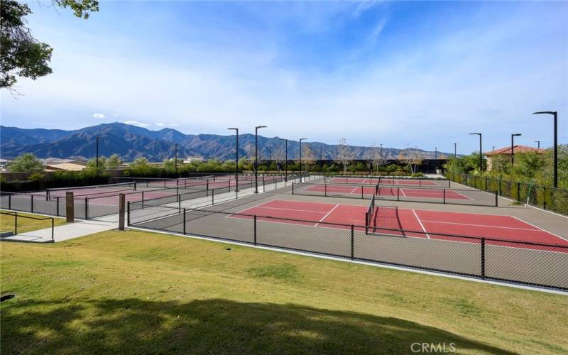 Pickle ball courts for 55+