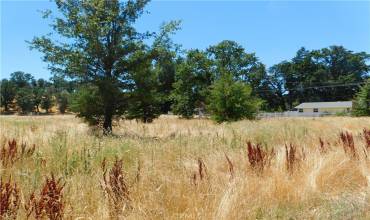 16523 Ellen Springs Road, Lower Lake, California 95457, ,Land,Buy,16523 Ellen Springs Road,LC24134732