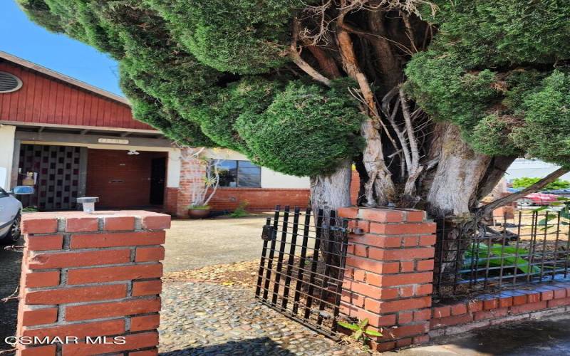 Gate to Front Yard