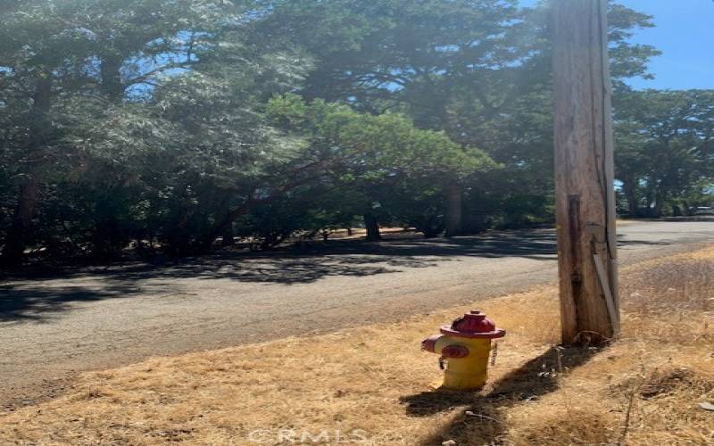 Power Pole and Hydrant across the street