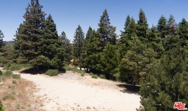 188 Mill Pond Road, Lake Arrowhead, California 92352, ,Land,Buy,188 Mill Pond Road,24410407