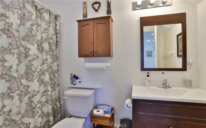 Lower level full bathroom