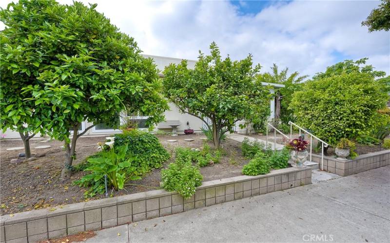 Home is surrounded by mature fruit trees and foliage offering privacy
