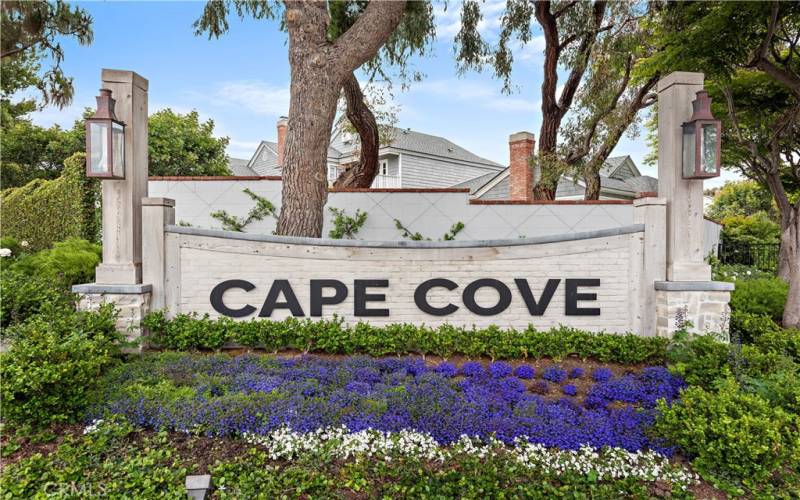 Cape Cove!