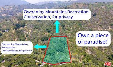 0 Topanga Canyon Blvd, Topanga, California 90290, ,Land,Buy,0 Topanga Canyon Blvd,24411069