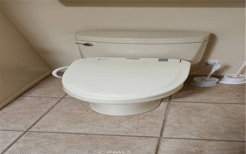bidet toilet with controls-master bath