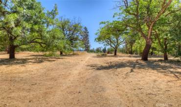 6126 Sawmill Road, Paradise, California 95969, ,Land,Buy,6126 Sawmill Road,SN24135972