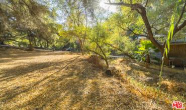 0 Topanga Canyon Boulevard, Topanga, California 90290, ,Land,Buy,0 Topanga Canyon Boulevard,22201491