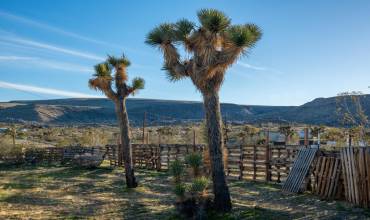 5 Acre Landscape