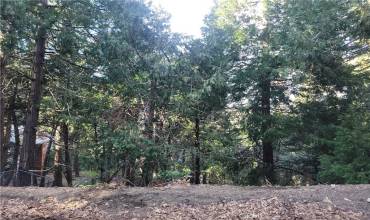 0 Bernard Drive, Crestline, California 92325, ,Land,Buy,0 Bernard Drive,EV24002983