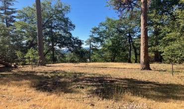 9389 Fox Drive, Cobb, California 95426, ,Land,Buy,9389 Fox Drive,LC24136428