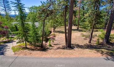 9389 Fox Drive, Cobb, California 95426, ,Land,Buy,9389 Fox Drive,LC24136428