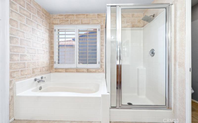 Soaker tub with separate shower