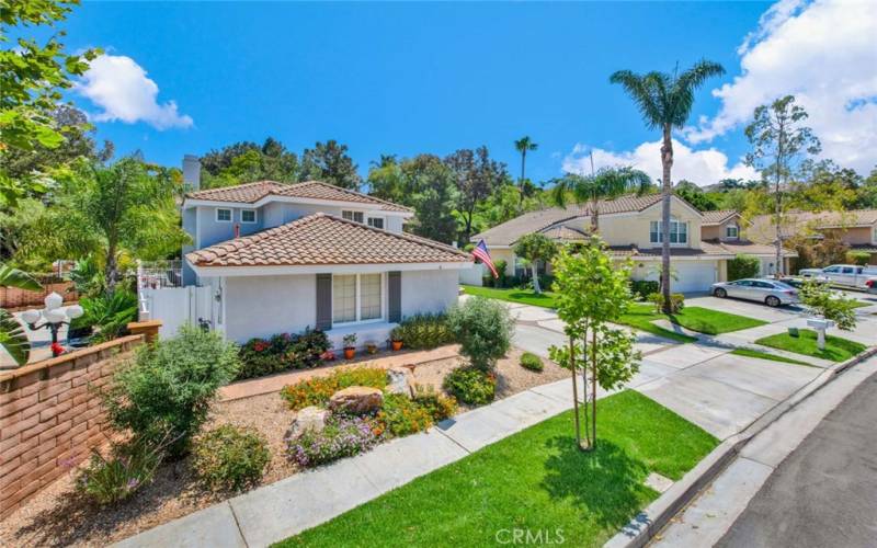 Newly Landscaped front yard