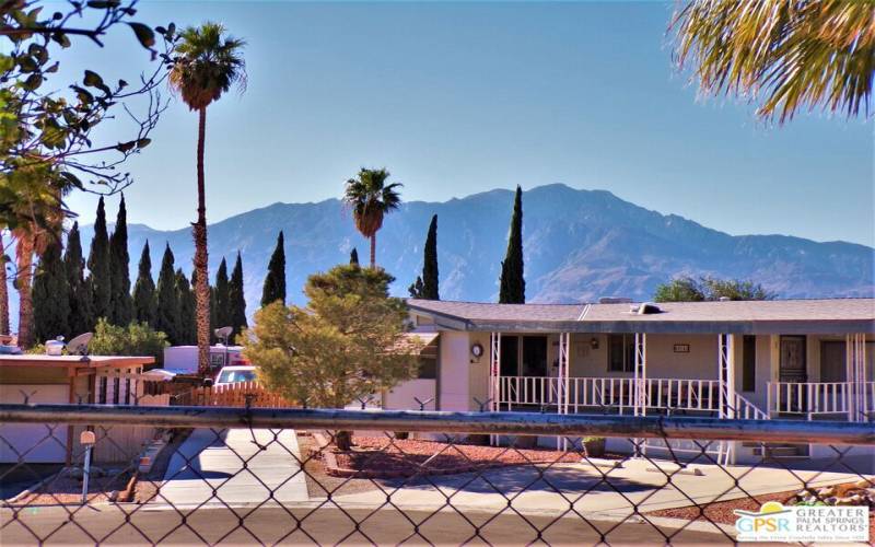 Mount San Jacinto View