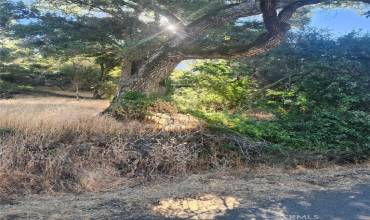 4010 Foothill Drive, Lucerne, California 95458, ,Land,Buy,4010 Foothill Drive,NS24135373