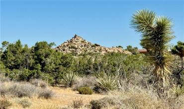 0 Cobalt Road, Yucca Valley, California 92284, ,Land,Buy,0 Cobalt Road,JT24123976