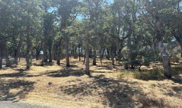 15583 33rd Avenue, Clearlake, California 95422, ,Land,Buy,15583 33rd Avenue,ML81972134