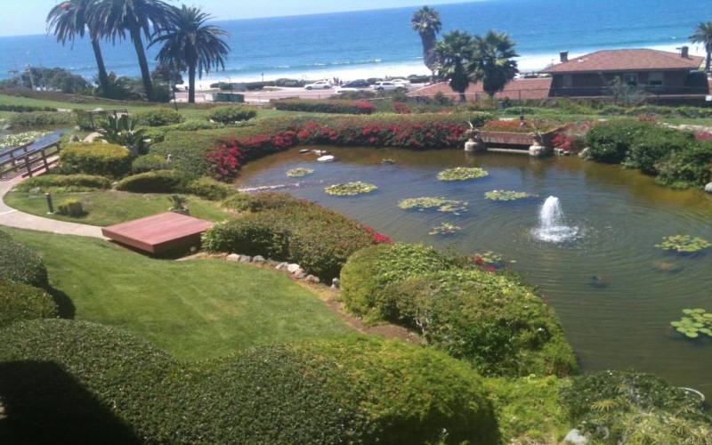 Killer view of the beach, water, surfers.