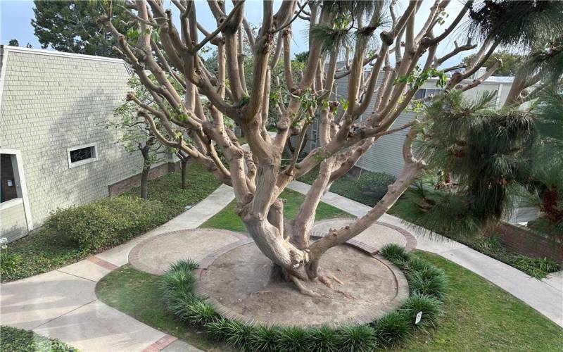 Primary bedroom overlooks trees