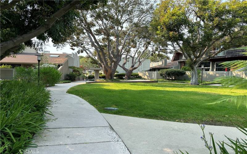 Greenbelt adjacent, viewable from side windows