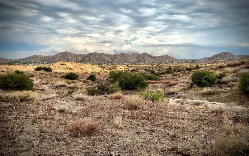 South to Sawtooth Mountain reserve