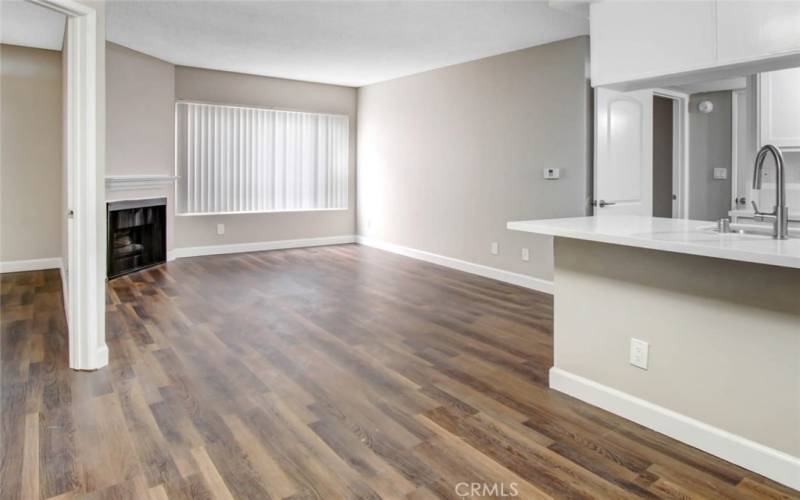 Living Room and Kitchen