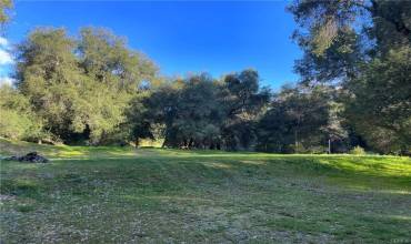 37374 Limekiln Drive, Yucaipa, California 92399, ,Land,Buy,37374 Limekiln Drive,PT24138502