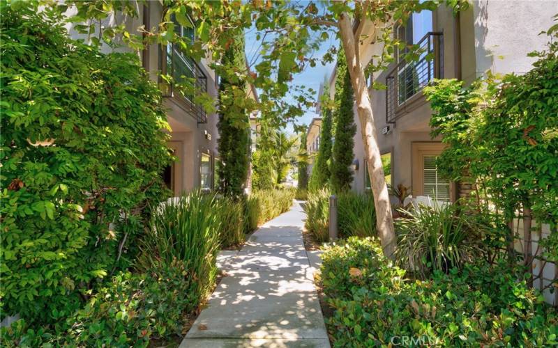 walkway to pool