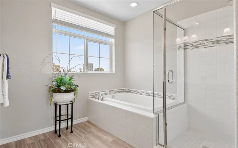 main bathroom tub and shower