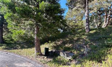 28970 Partridge Place, Lake Arrowhead, California 92352, ,Land,Buy,28970 Partridge Place,EV24138303