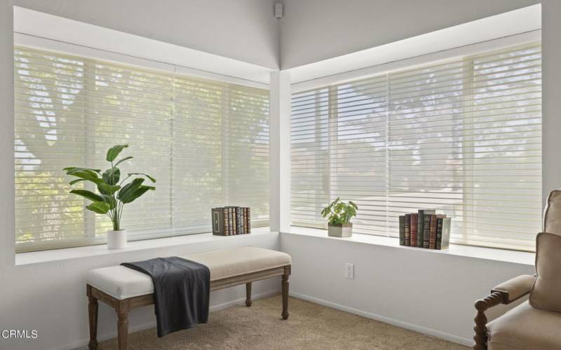 Window treatments throughout