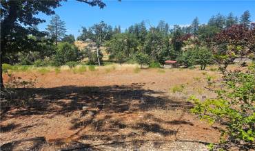 5247 Falcons View Court, Paradise, California 95969, ,Land,Buy,5247 Falcons View Court,SN24134739