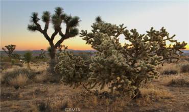 7635 La Contenta Road, Joshua Tree, California 92284, ,Land,Buy,7635 La Contenta Road,JT24139330