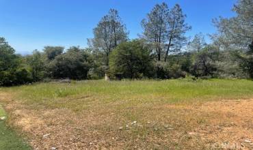 401 Hershel Lane, Oroville, California 95966, ,Land,Buy,401 Hershel Lane,SN24139257