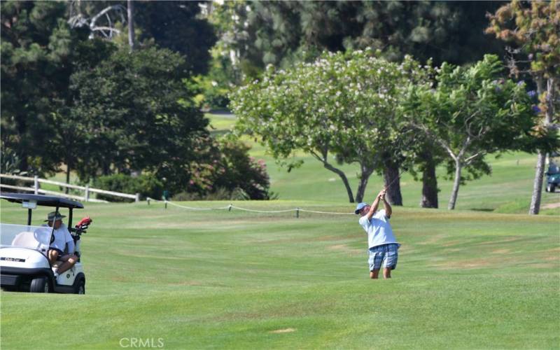 Two golf courses in Laguna Woods Village