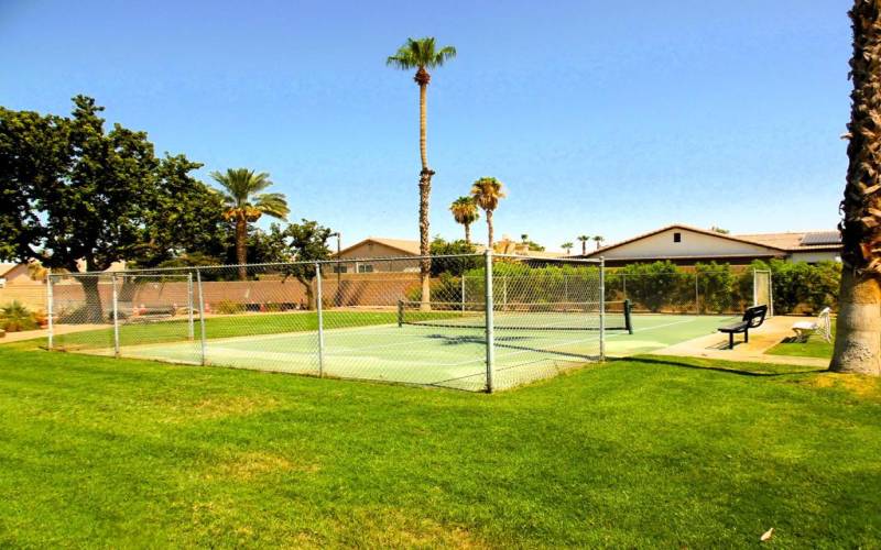 Pickleball Court