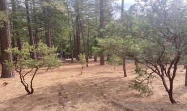 0 Big Pine Rd, Idyllwild, California 92549, ,Land,Buy,0 Big Pine Rd,240015700SD