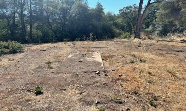 1403 Forbestown Road, Oroville, California 95966, ,Land,Buy,1403 Forbestown Road,OR24134652